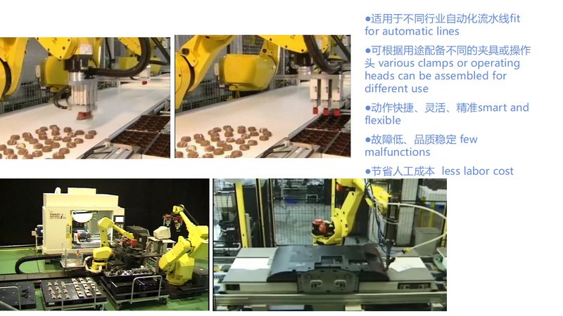 广东码垛机器人维护：关键步骤与注意事项**